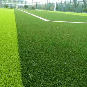 ��Ȼ�Nֲ��ƺ�����